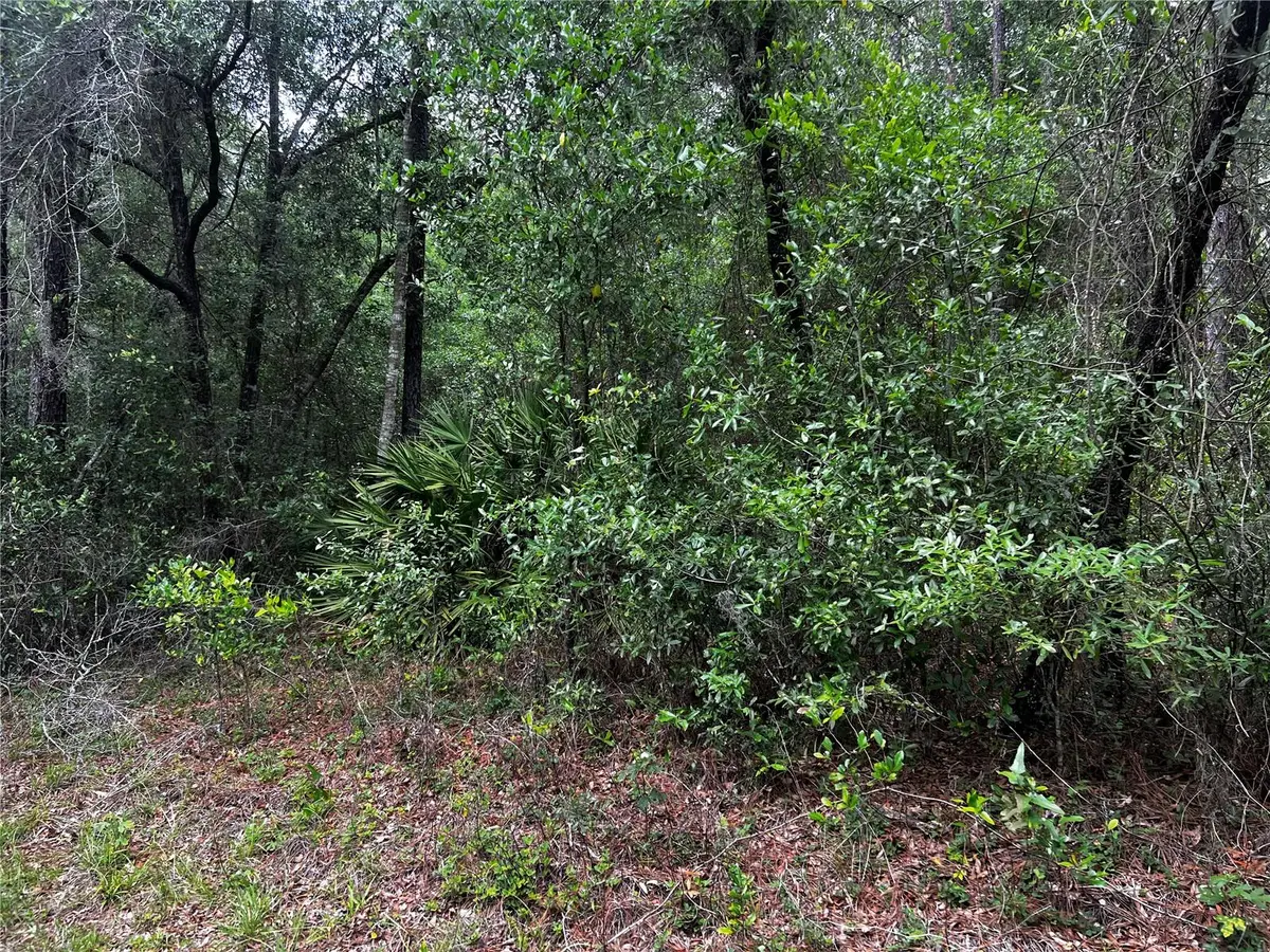 TBD SW 186th Ct., Dunnellon, FL 34432 - #1