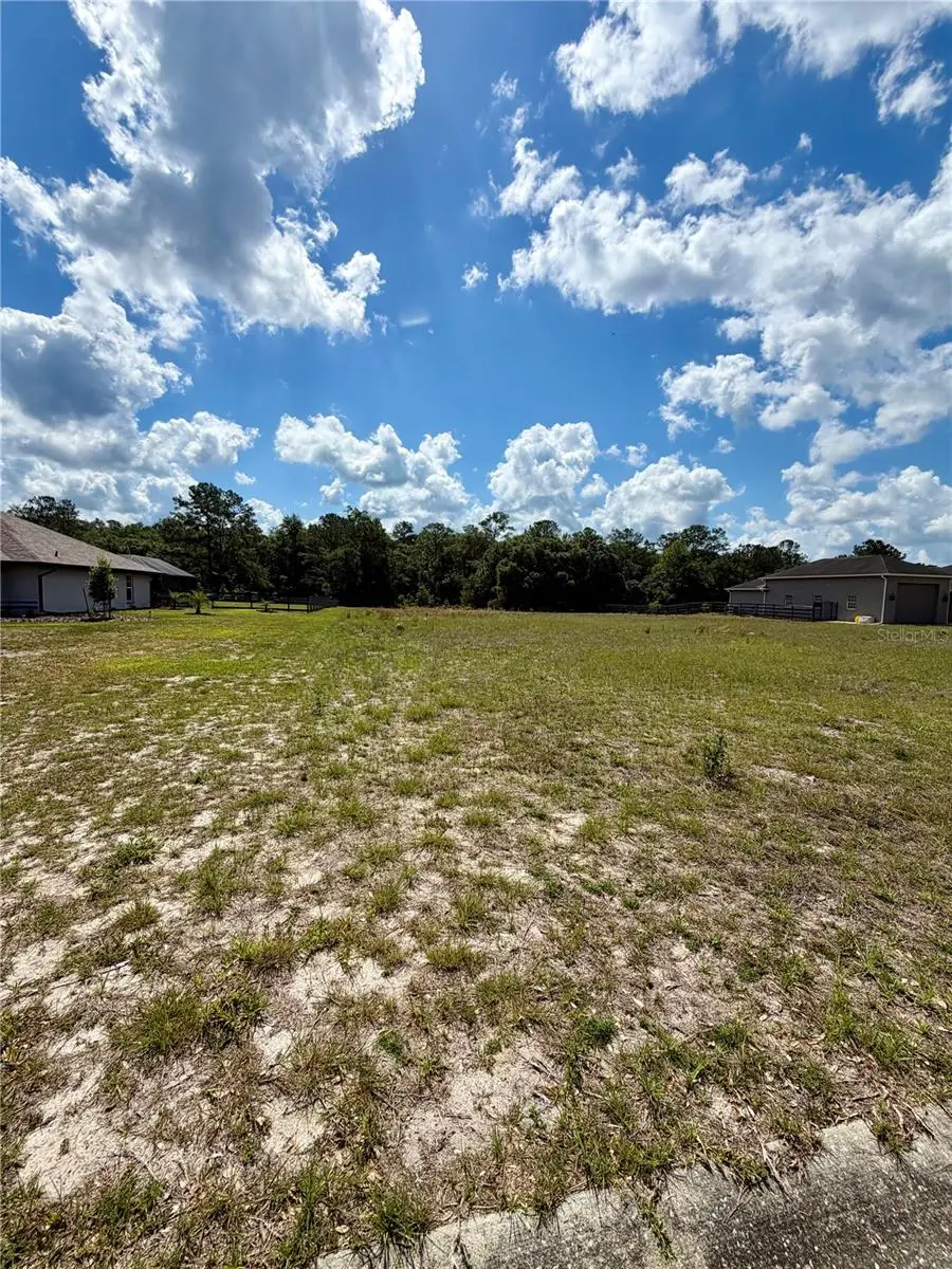 TBD NE 64 Avenue, Silver Springs, FL 34488 - #1