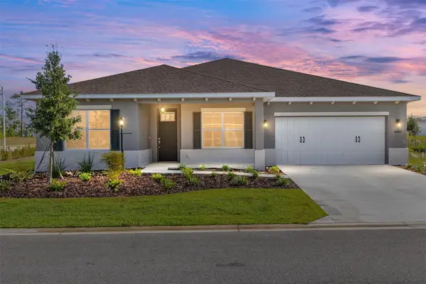 10665 SW 101st Lane Road, OCALA, FL 34481