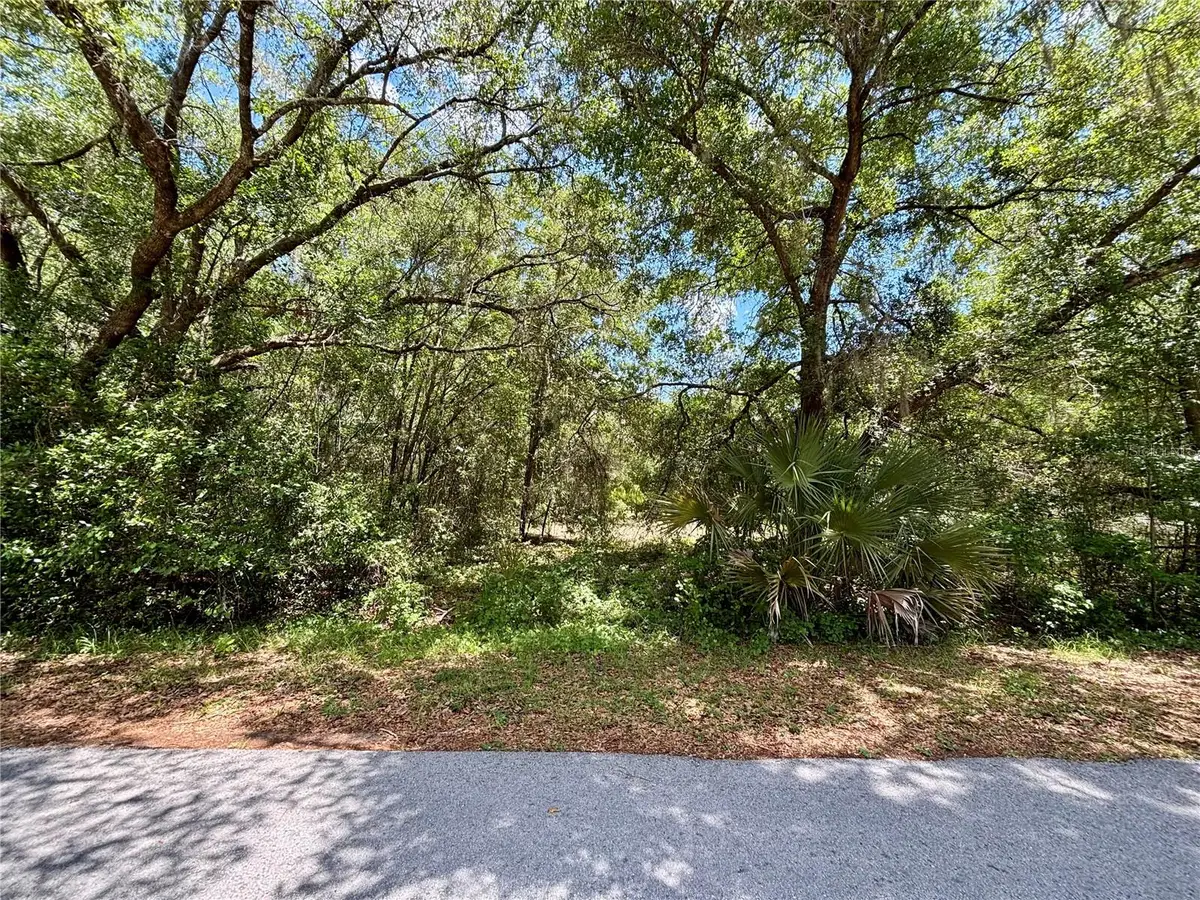 Lot 15 SW Shorewood Drive, Dunnellon, FL 34431 - #1