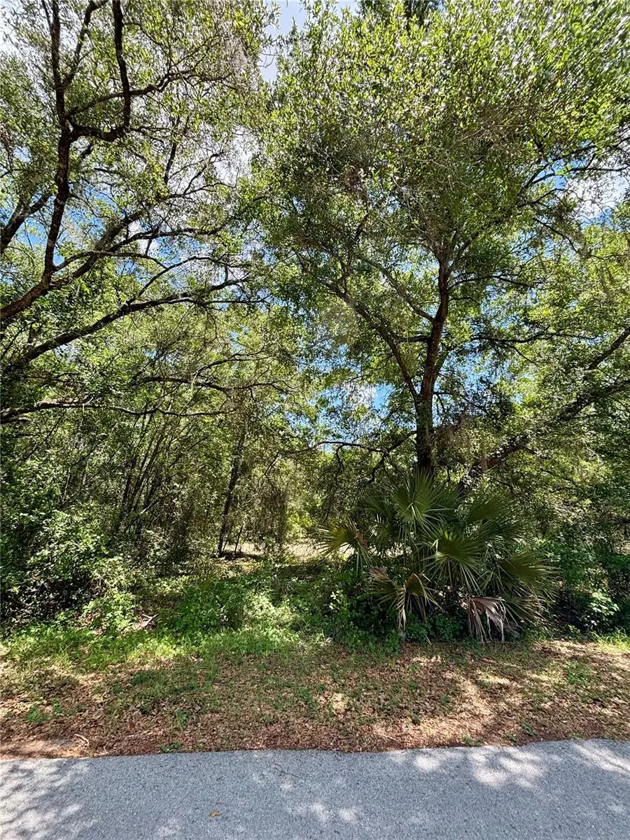 Lot 15 SW Shorewood Drive, Dunnellon, FL 34431 - #2
