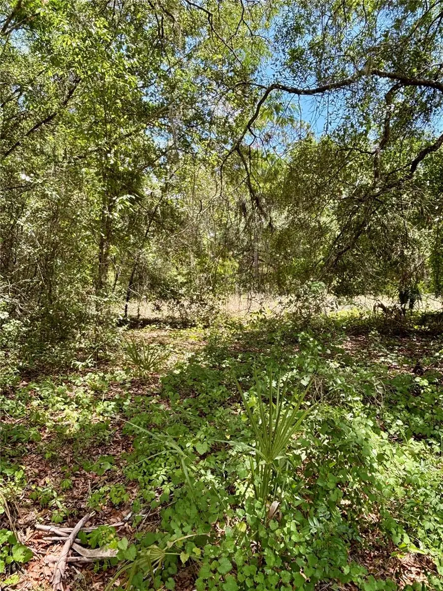 Lot 15 SW Shorewood Drive, Dunnellon, FL 34431 - #3