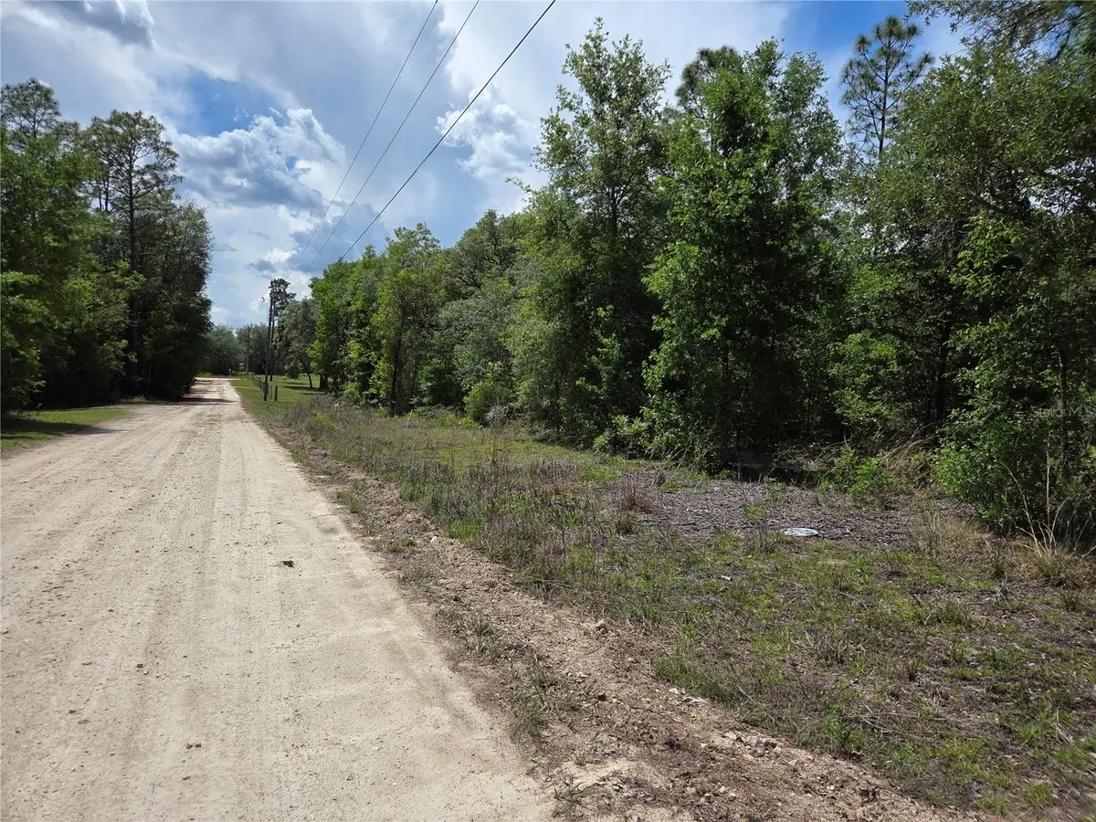 0000 NE 73rd Lane, Bronson, FL 32621 - #1