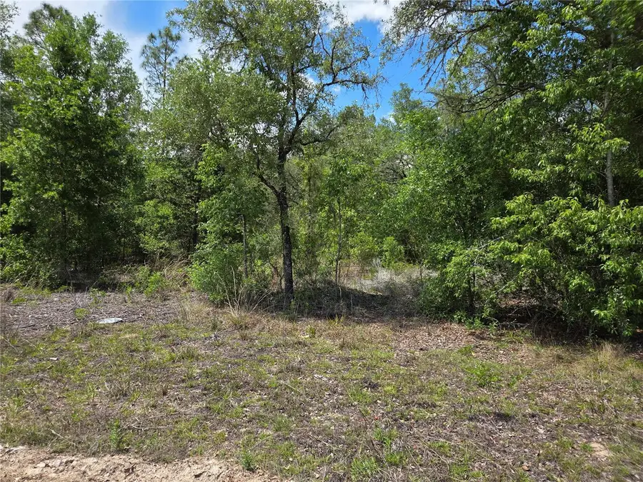 0000 NE 73rd Lane, Bronson, FL 32621 - #2