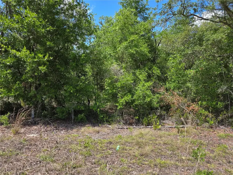 0000 NE 73rd Lane, Bronson, FL 32621 - #3