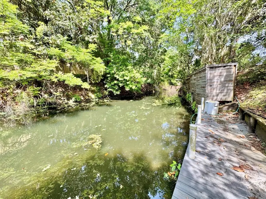 30391 NE 97th Place, Salt Springs, FL 32134 - #2