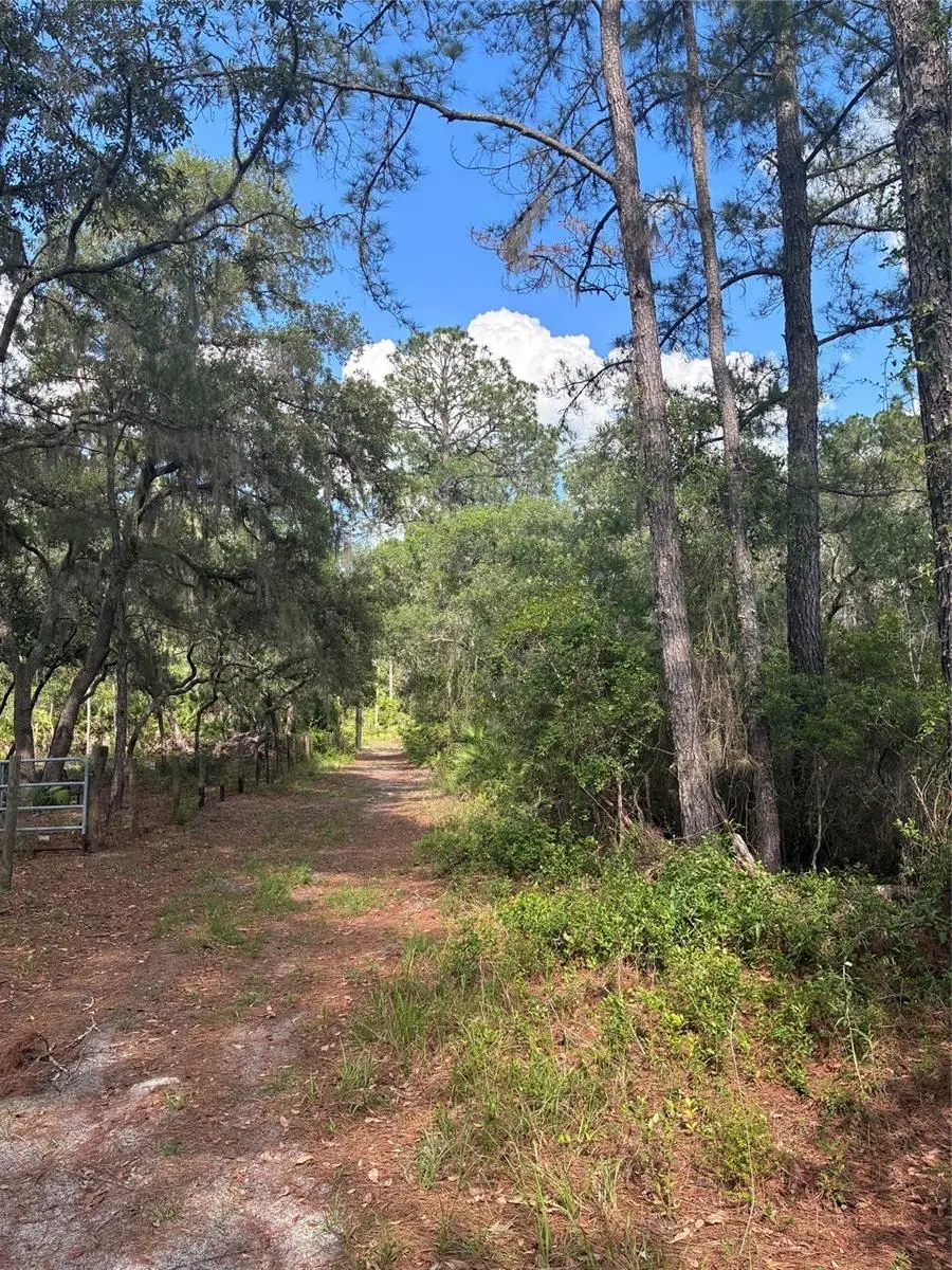 16464 NE 35 Road, Citra, FL 32113 - #3