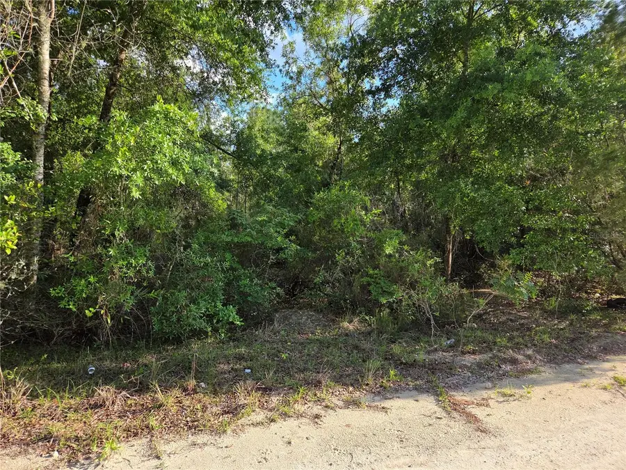 9070 NE 76th Street, Bronson, FL 32621 - #3
