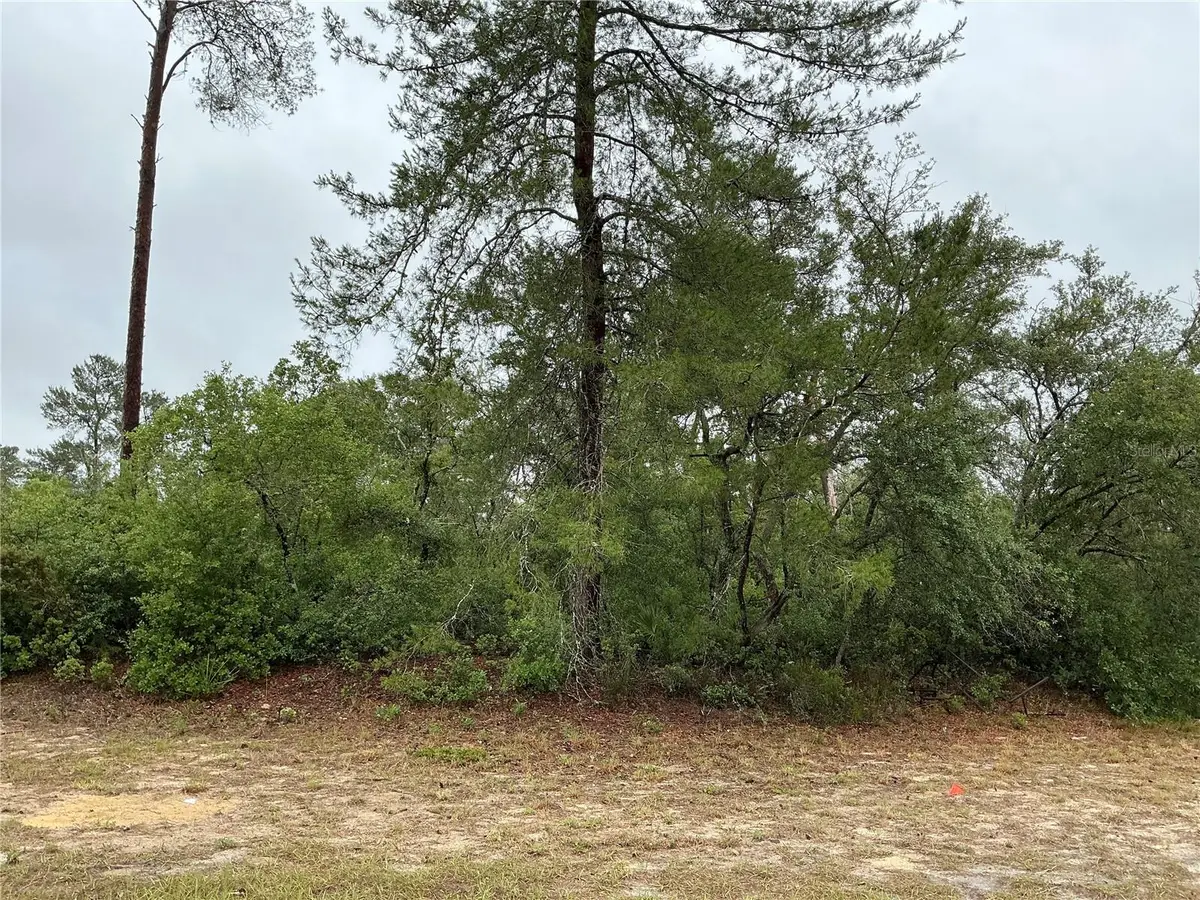 SW 20th Court, Ocala, FL 34473 - #1
