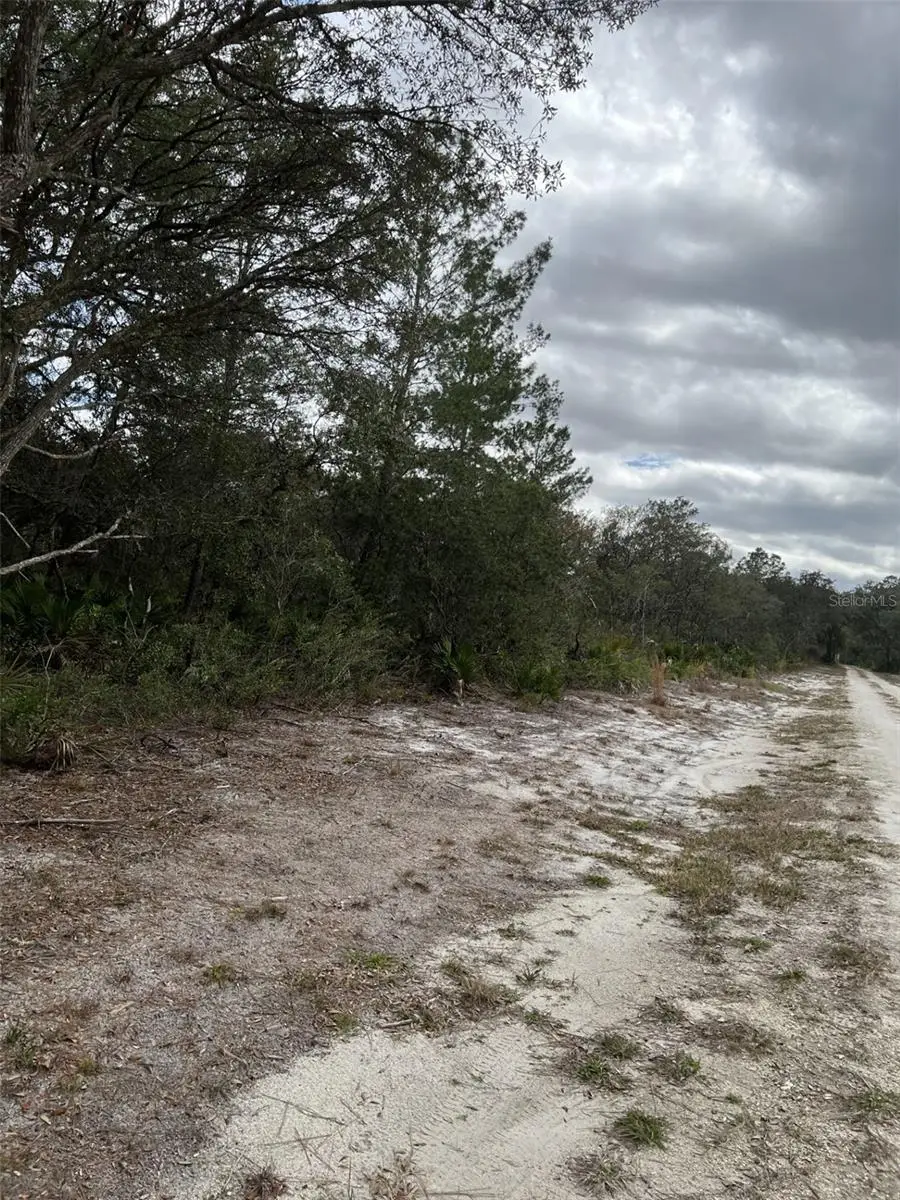 0 NE 144 Court, Fort McCoy Anthony, FL 32134 - #2