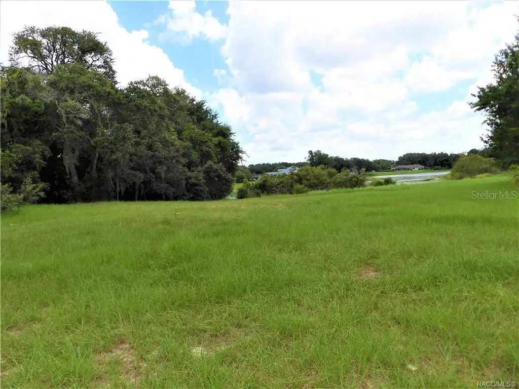 9546 E Baymeadows Drive, Inverness, FL 34450 - #1