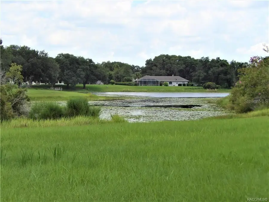 9546 E Baymeadows Drive, Inverness, FL 34450 - #3