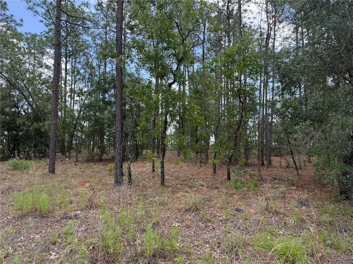 NW Buena Vista Road, Dunnellon, FL 34431 - #1