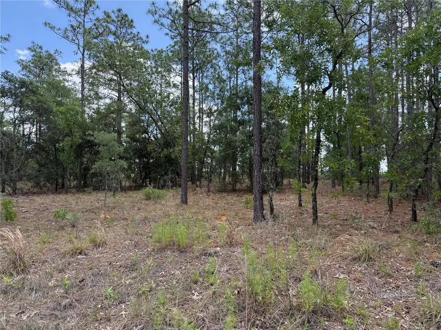 NW Buena Vista Road, Dunnellon, FL 34431 - #3