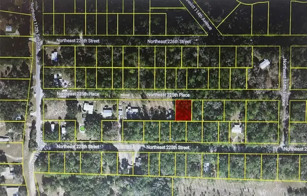 TBD NE 225th Place, FORT MC COY, FL 32134