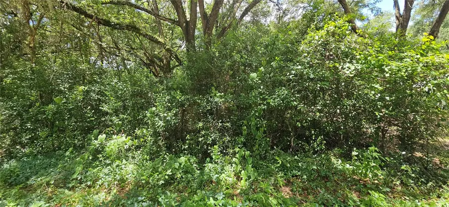 SE 27th Court, Summerfield, FL 34491 - #2