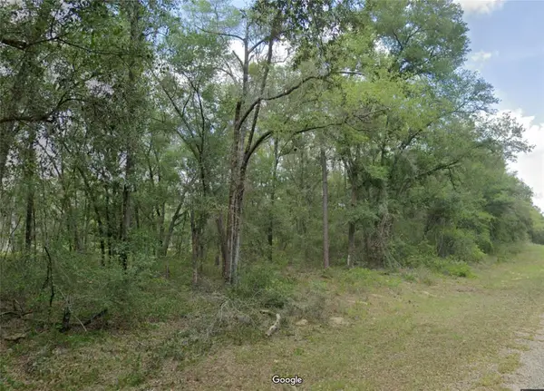 719 E Byrd Loop, DUNNELLON, FL 34434