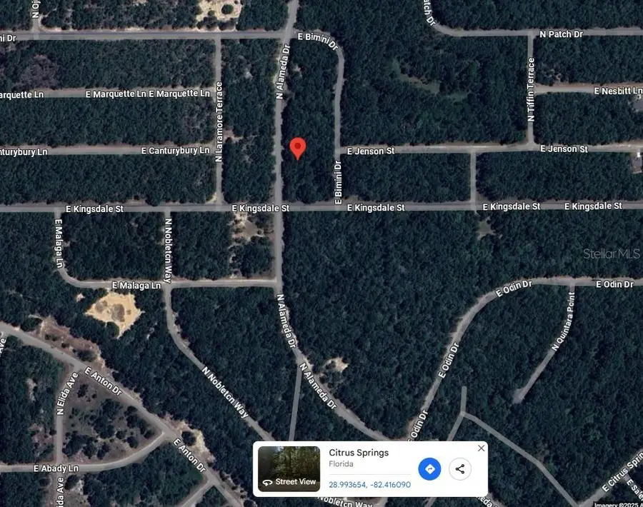 9085 N Alameda Drive, Citrus Springs, FL 34434 - #2