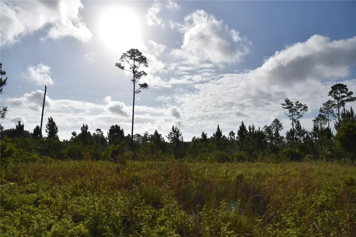 22370 NE 130th Avenue, Fort McCoy Anthony, FL 32134 - #1