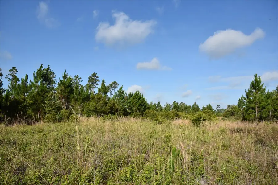 22370 NE 130th Avenue, Fort McCoy Anthony, FL 32134 - #2