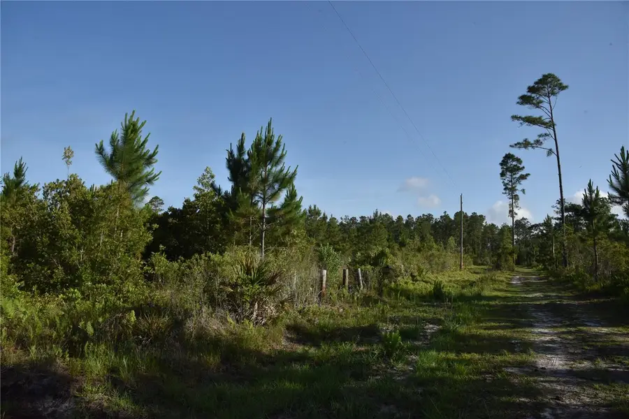 22370 NE 130th Avenue, Fort McCoy Anthony, FL 32134 - #3