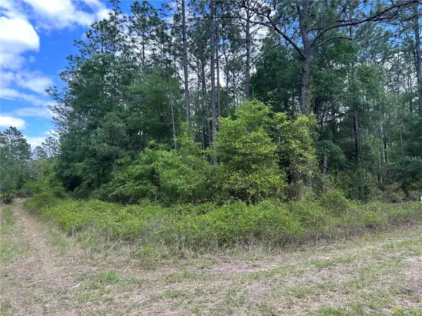 TBD SW 159th Avenue, OCALA, FL 34481