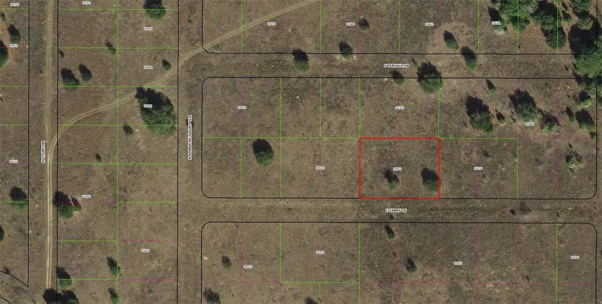 2307 E Tabby Lane, Inverness, FL 34453 - #1