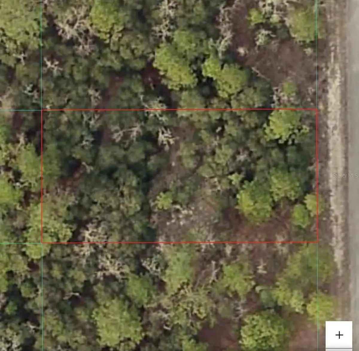 TBD SW Seaweed Avenue, Dunnellon, FL 34431 - #1