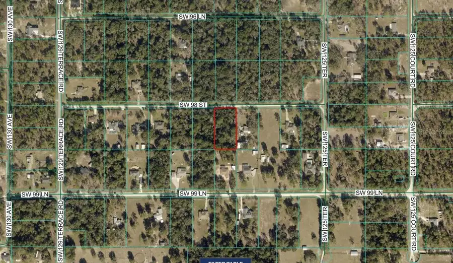 TBD SW 98th Street, Dunnellon, FL 34432 - #2