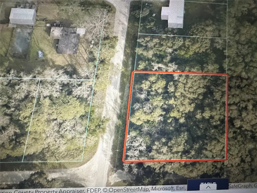 TBD SE 44th Avenue, Summerfield, FL 34491 - #2