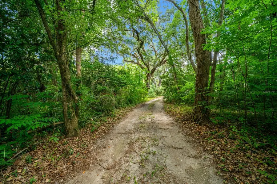 1985 NE 97th Streed Road, Anthony, FL 32617 - #3