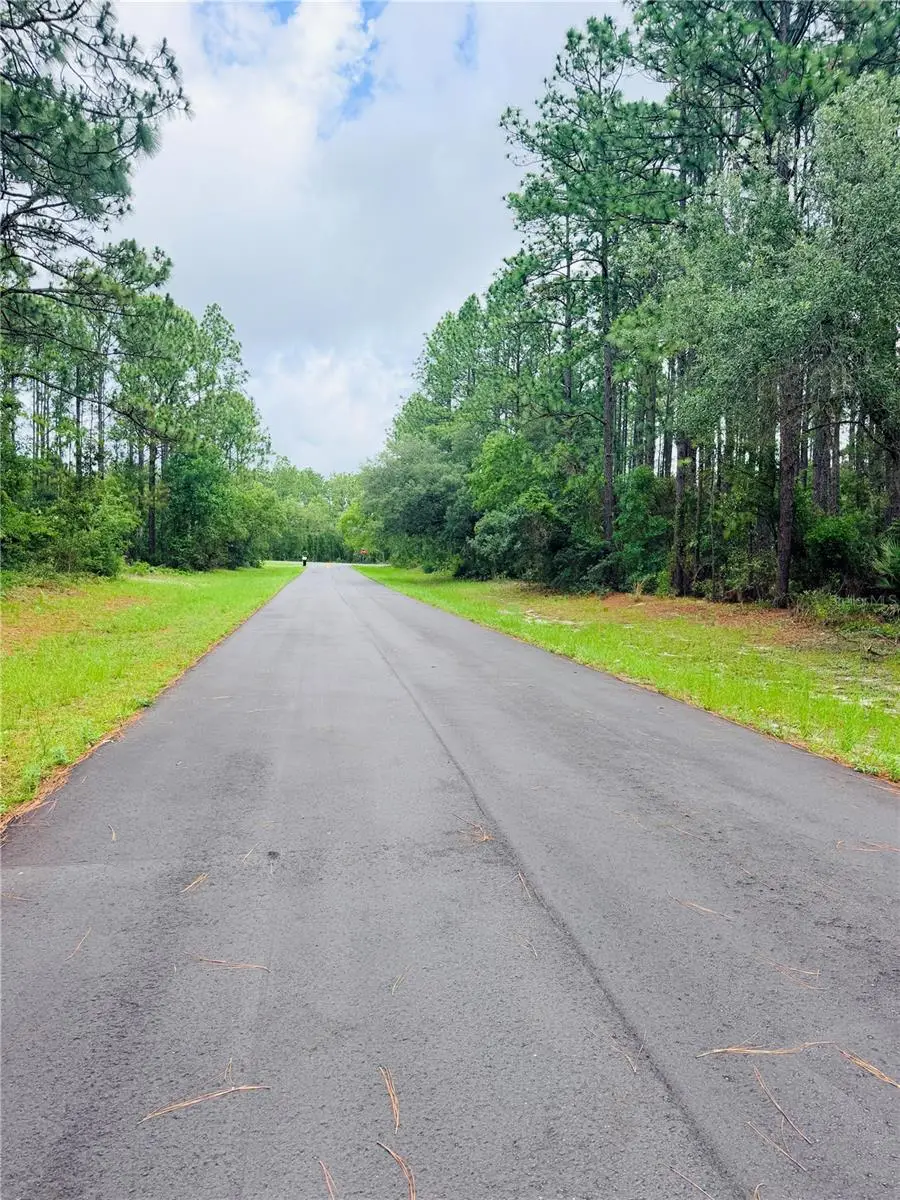 13873 SW 80th Court, Ocala, FL 34473 - #3