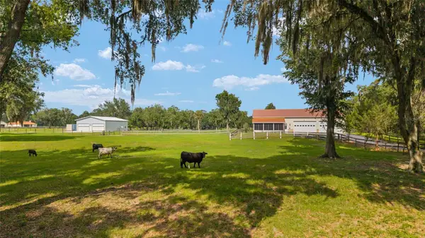 2035 NW 150th Avenue, OCALA, FL 34482