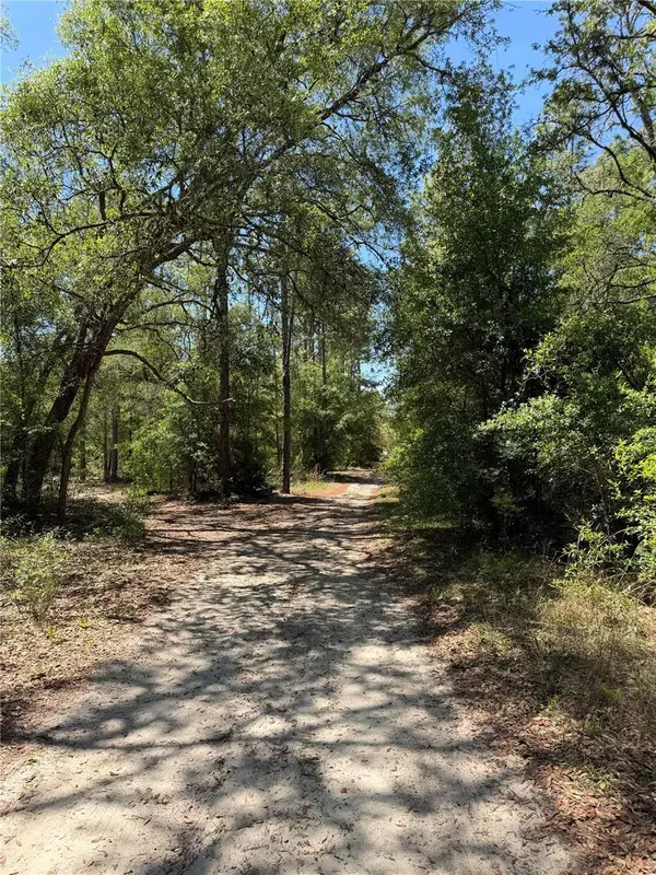 TBD Ne 107th Court, BRONSON, FL 32621