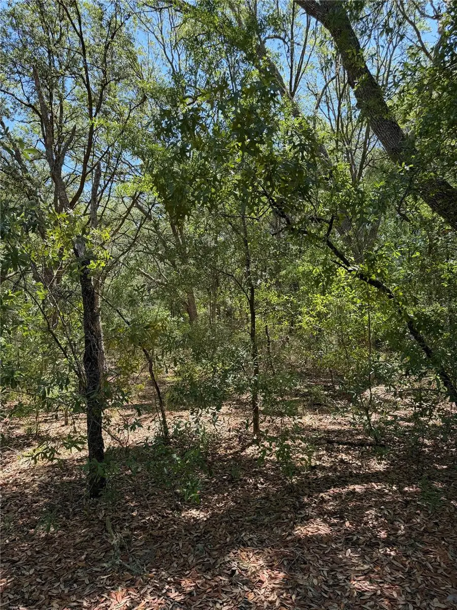 TBD Ne 107th Court, Bronson, FL 32621 - #2