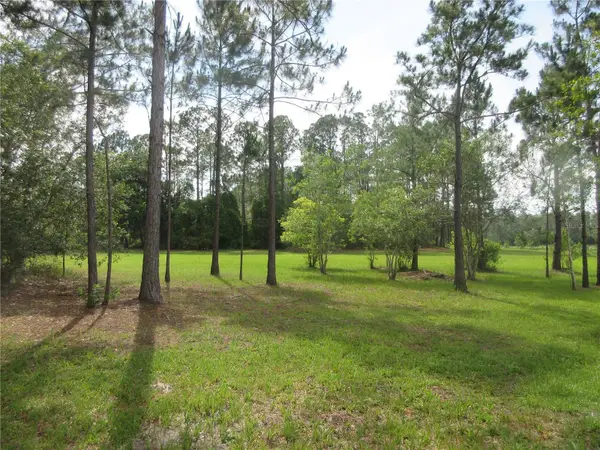 0 SE 10th Street, SILVER SPRINGS, FL 34488