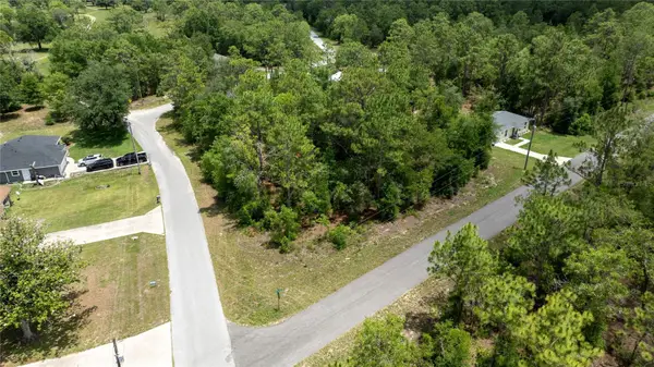 Ne 9th St, WILLISTON, FL 32696