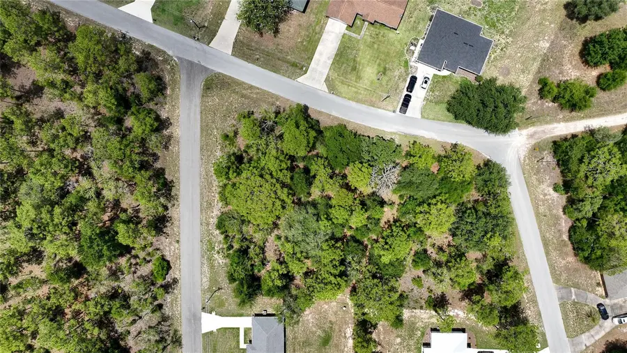 Ne 9th St, Williston, FL 32696 - #3