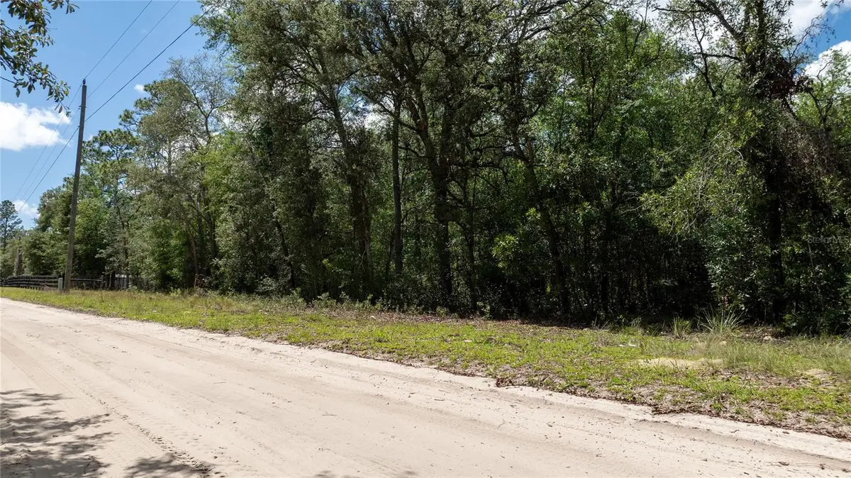 Ne 71st Street, Bronson, FL 32621 - #1