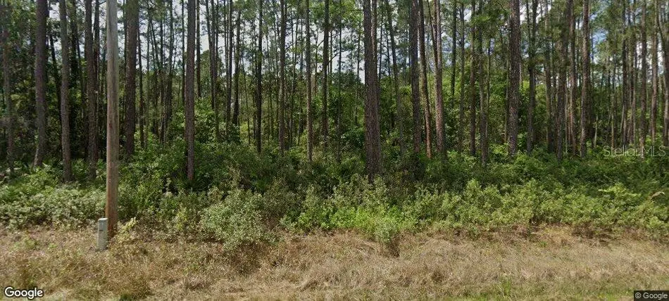 137 E Boundary Drive, Georgetown, FL 32139 - #1