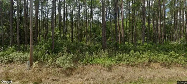 137 E Boundary Drive, GEORGETOWN, FL 32139