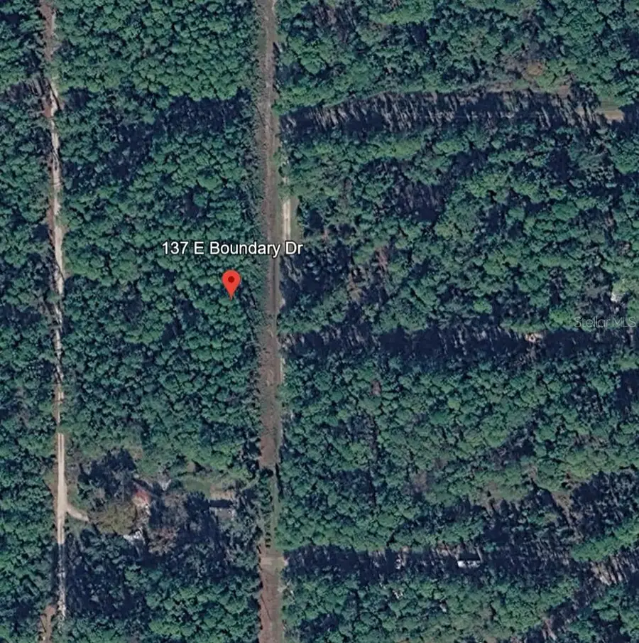 137 E Boundary Drive, Georgetown, FL 32139 - #3