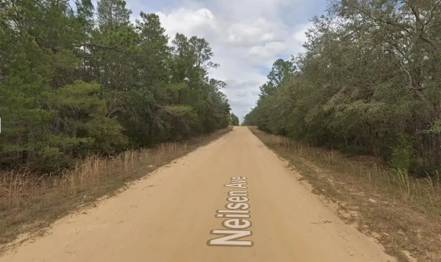 Neilson Ave, Interlachen, FL 32148 - #2