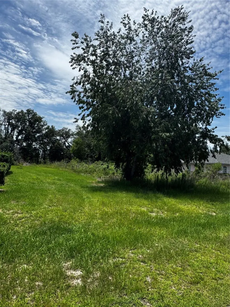 tbd SW 46th Court, Ocala, FL 34473 - #1