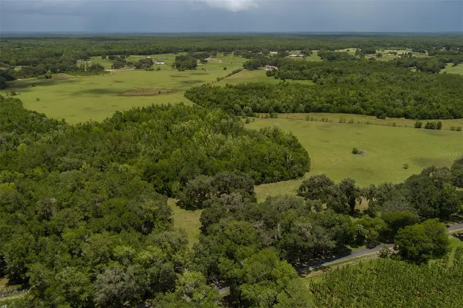 9504 NW Hwy 320, Micanopy, FL 32667 - #3