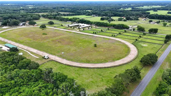 19431 NE 17th Place, WILLISTON, FL 32696