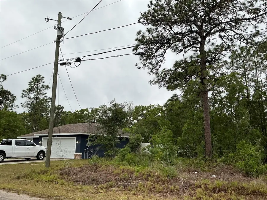 Fisher Lane Terrace, Ocklawaha, FL 32179 - #3