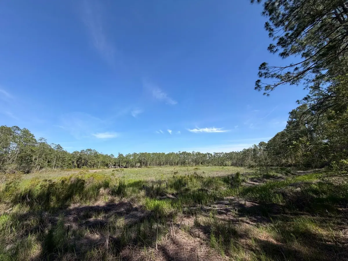 TBD NE 114 Ave Road, Fort McCoy Anthony, FL 32134 - #1