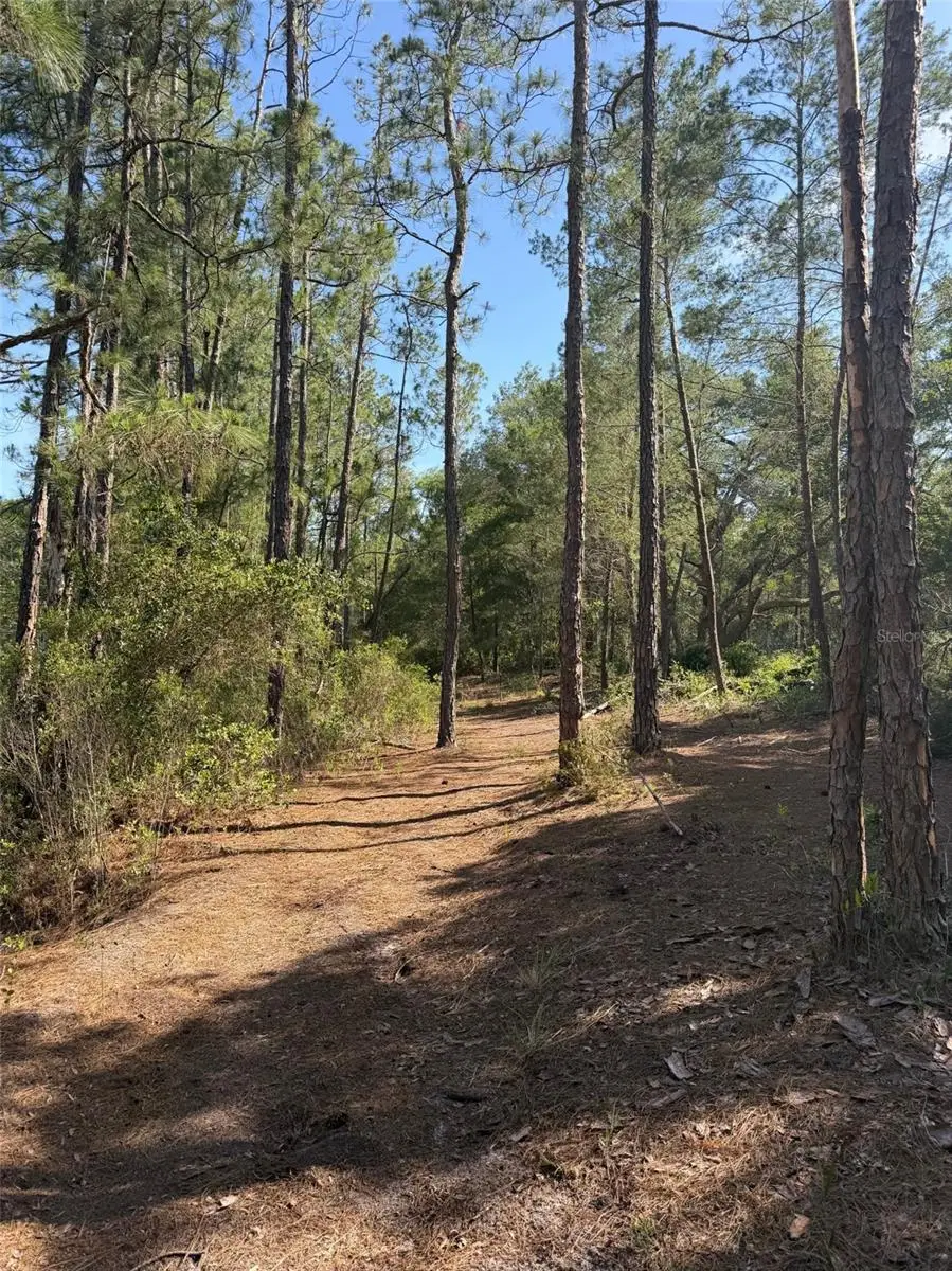 TBD NE 114 Ave Road, Fort McCoy Anthony, FL 32134 - #2