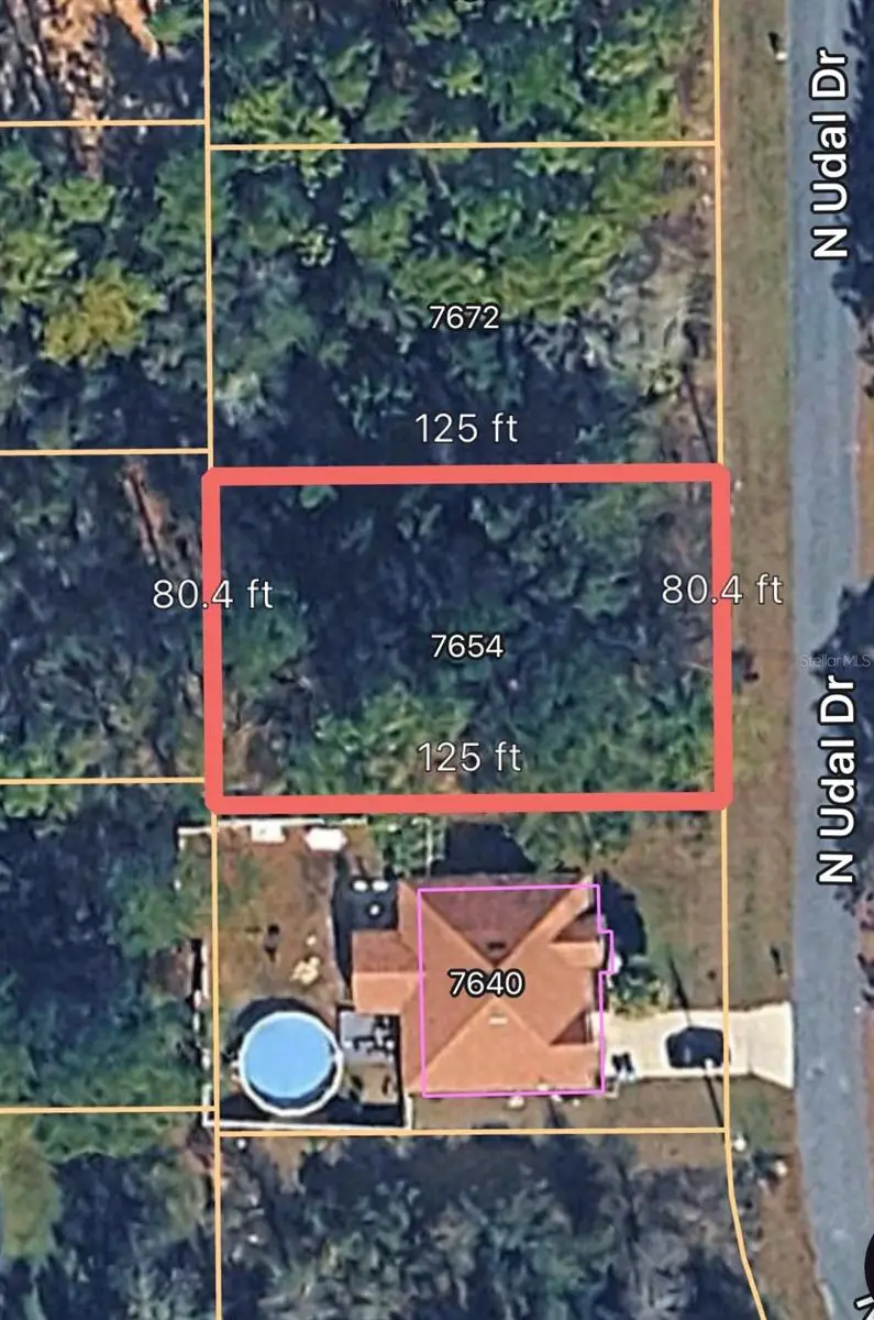 7654 N Udal Drive, Citrus Springs, FL 34434 - #1